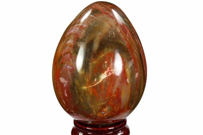 Colorful, Polished Petrified Wood Egg - Triassic #107389